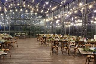 Ristorante Vinicio - 15