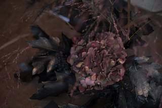 Floricoltura Bosco - 21