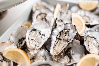 Scotti Ricevimenti - 16