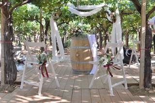 Almita Events & Weddings - 27