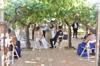 Almita Events & Weddings - 28