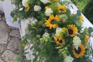 Casanatura Vivaio - 12