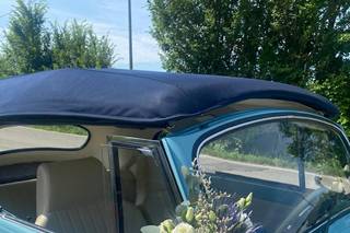 Fioreria Fiori e Parole - 16