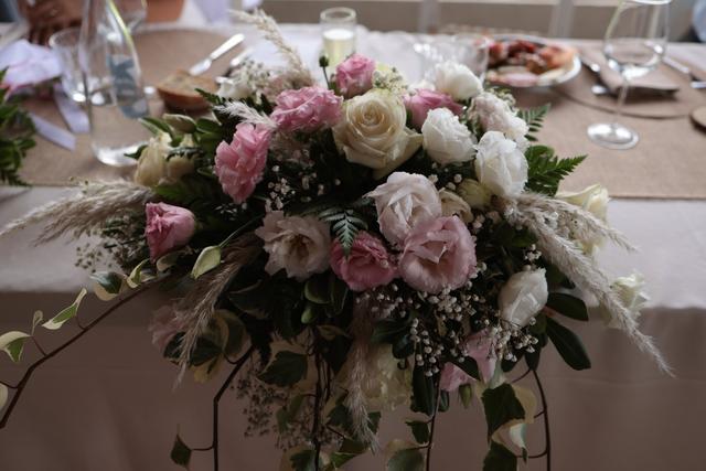 Agriturismo Albero del Latte - 3