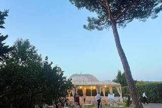 Angelucci Catering - 12