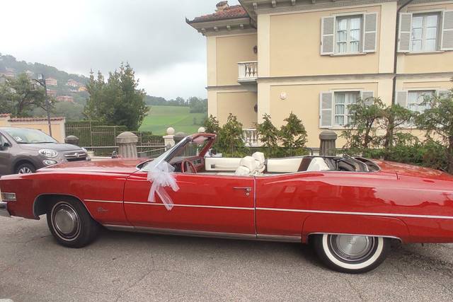 Classic Cars 5