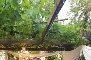 Ultrasound Wedding - 9