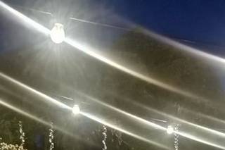 Elena Casagni Events - 7