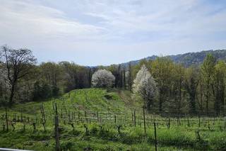 Cascina Galbusera Nera - Rocca Ricevimenti - 5