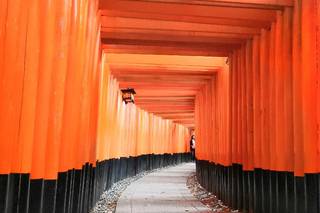 MalanubiAcademy Honeymoon & Tailormade - 8