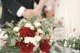 Gio Confalone Fotografo - 16