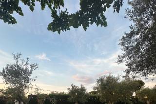 Tenuta Pinto - Country House - 9