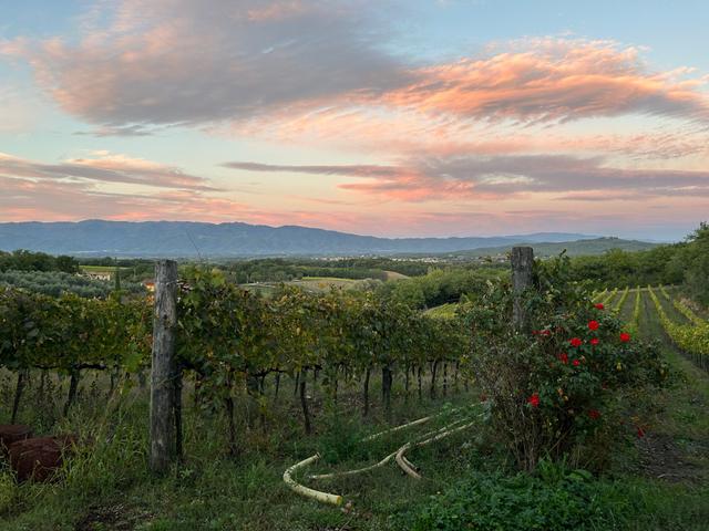 Agriturismo Le Mura - 1