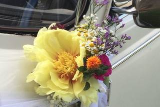 Wedding Love Italy - 24