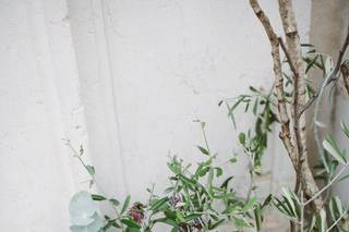 Boschi fiori - 8