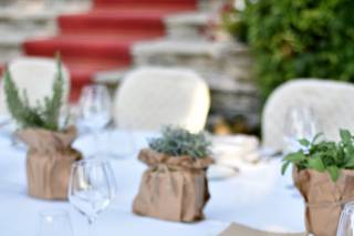 MG Events - 6