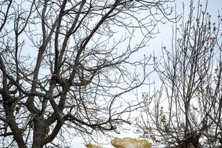 Francesco Mencucci Wedding & Flowers - 8