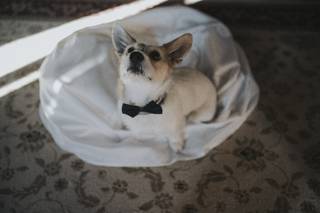 Daniela Nizzoli - 18