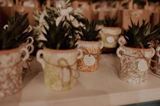 Withlove Plants - 5
