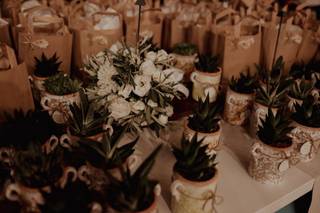 Withlove Plants - 6
