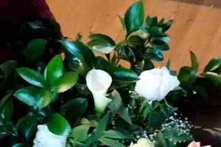 Frutta e Fiori di Griffo Francesco - 6