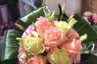 Frutta e Fiori di Griffo Francesco - 7