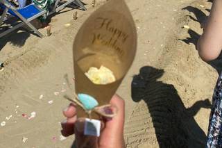 Il giardino delle palme - 16