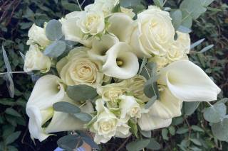 Garden Arcobaleno - 4