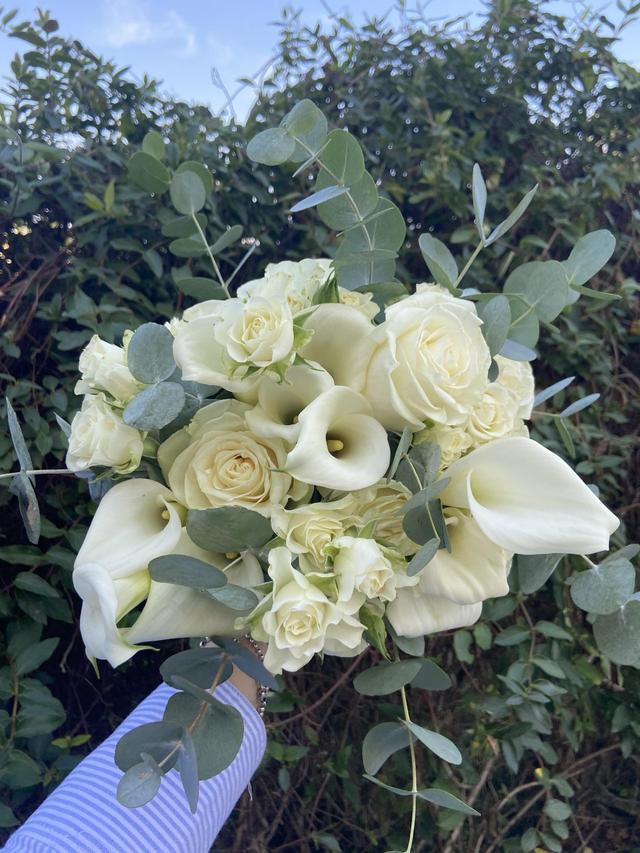 Garden Arcobaleno - 2