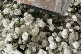 L'Universo dei Fiori - 13