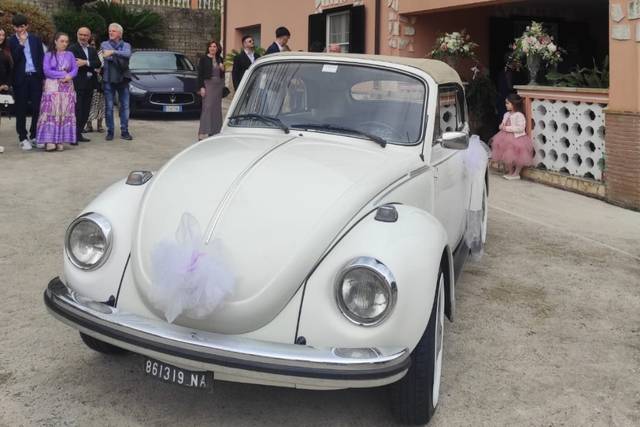 Autostar Eventi 5