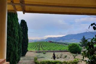 Gigliotto Tenute - 23