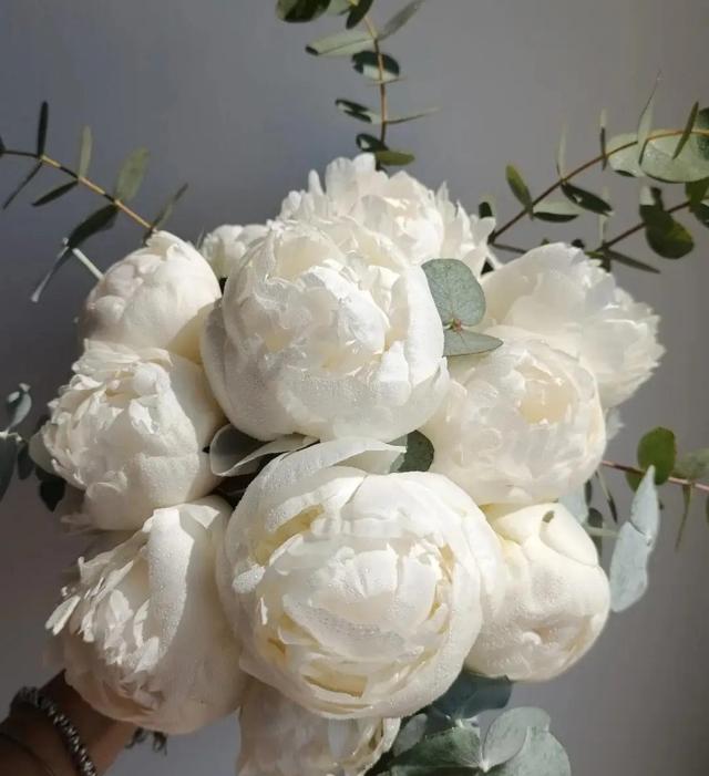 Floralia - 2