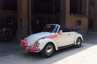 Classic Cars Cremona - 12