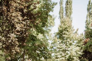 Antonella Zamboni - 11