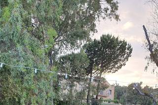 Gigliotto Tenute - 24