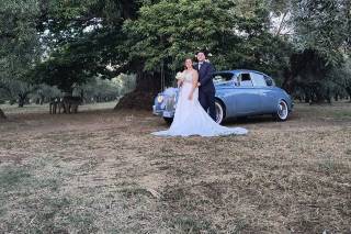 Bartuca Motors Group - 15
