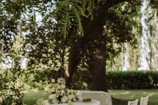 Antonella Zamboni - 12