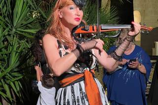 HER Herviolins - 1