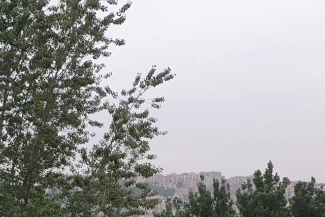 Tenuta Torelli 4