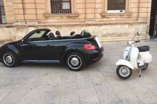 Servizio Chauffeur di Vincenzo Palacino - 15