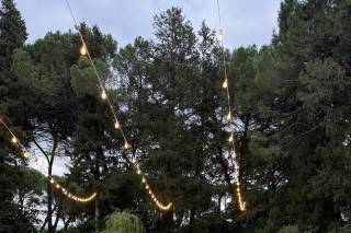 Niko Fanti Eventi - 10