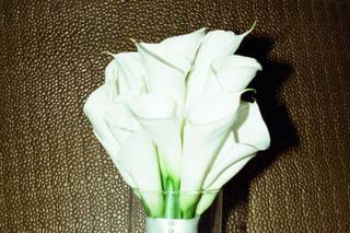 Edera Wedding Studio - 6