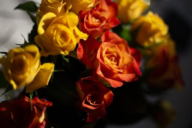 Artè Event Designer - 1