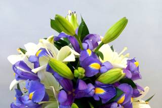 I Fiori di Ornella - 12