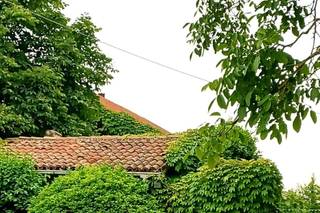 Cascina delle Signore - 20