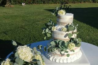 Piante e Fiori di Astolfi Italia - 13