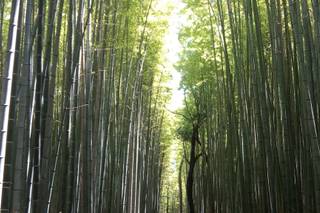 Micaela Brutti Consulente Viaggi - 5