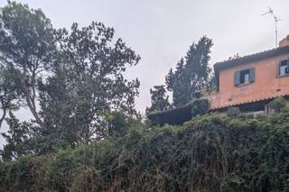 La Maison Floreale - 31