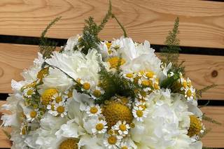 La Primavera Ruggiero - 15